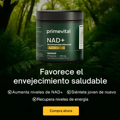 PRIMEVITAL NAD+